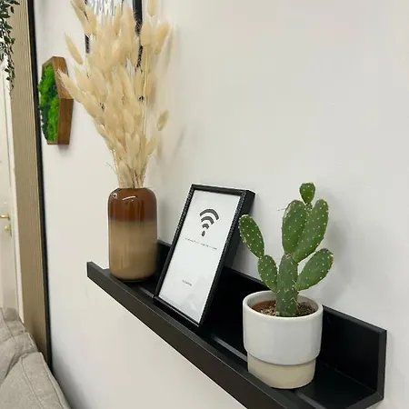 Siri Vatican Loft - Design House 로마