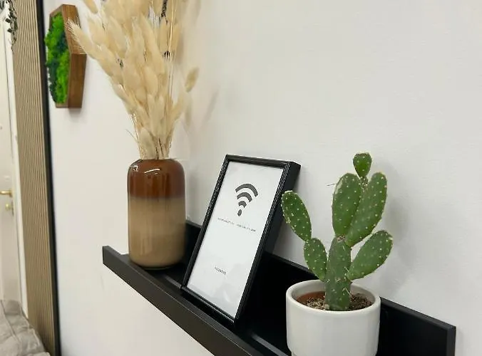 Siri Vatican Loft - Design House 로마